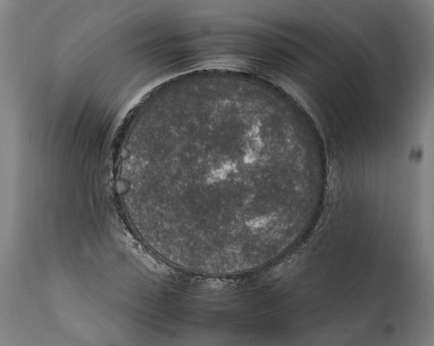 X0000111140923200907211135