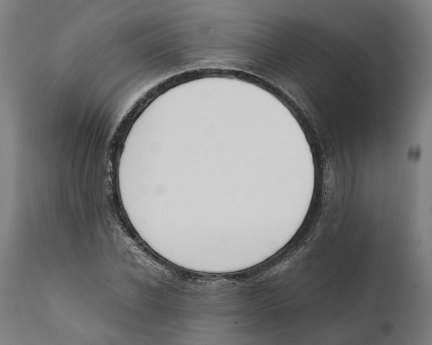 X0000111140926200907211135