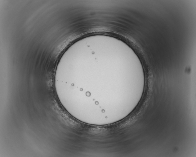 X0000111140929200907211135