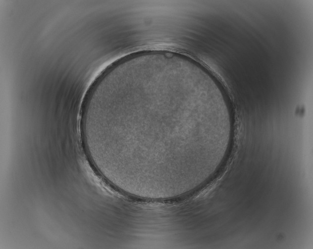 X0000111140932200907211135