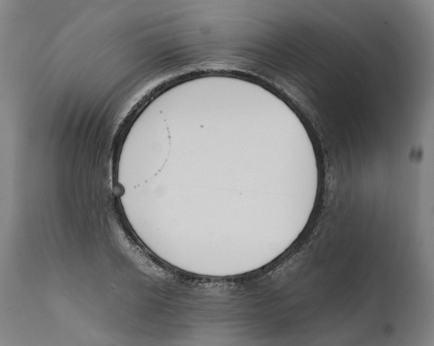 X0000111140934200907211135