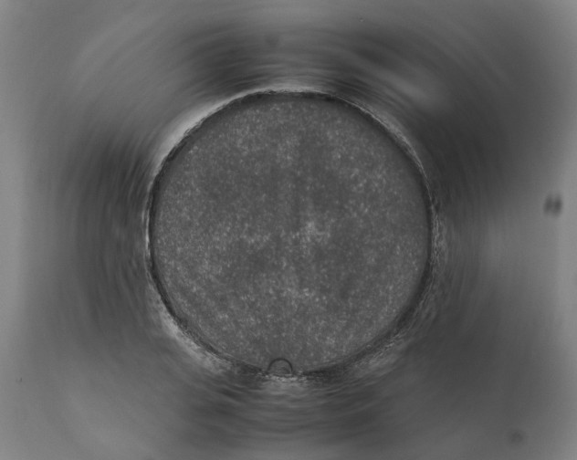 X0000111140935200907211135