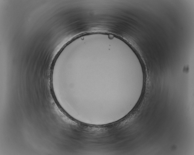 X0000111140941200907211135