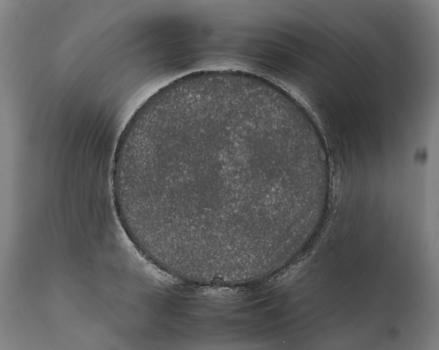 X0000111140943200907211135