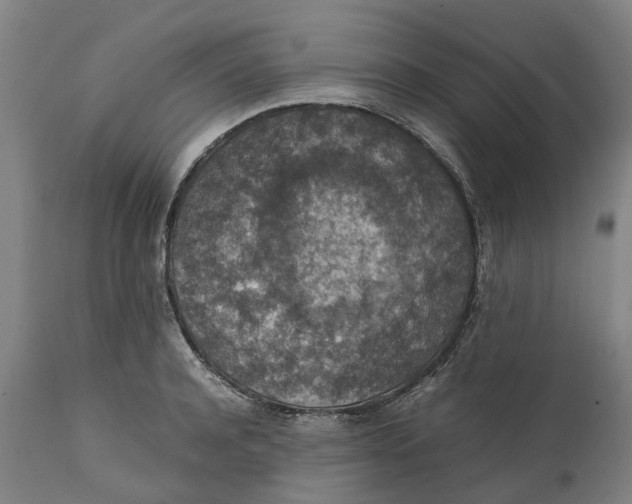 X0000111140944200907211135