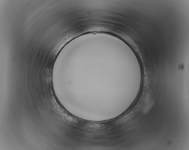 X0000111140945200907211135