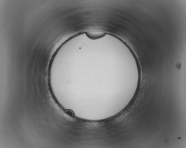 X0000111140949200907211135