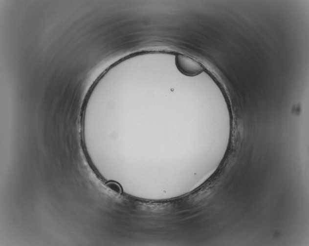 X0000111140951200907211135