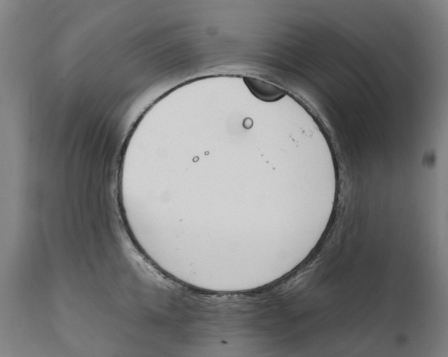 X0000111140952200907211135