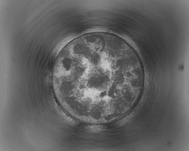 X0000111140953200907211135