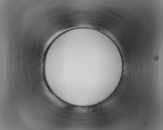 X0000111140955200907211135