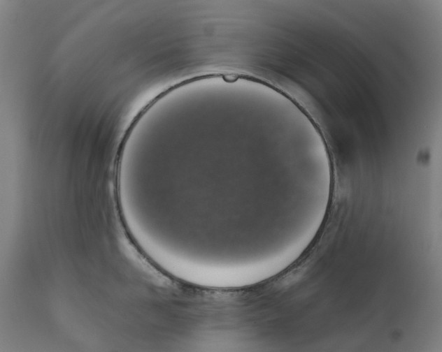 X0000111140958200907211135