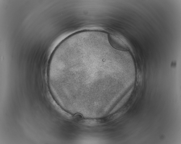 X0000111140959200907211135