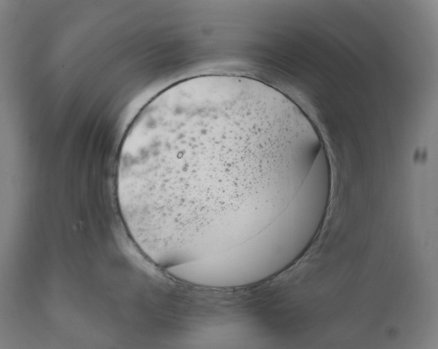 X0000111140960200907211135