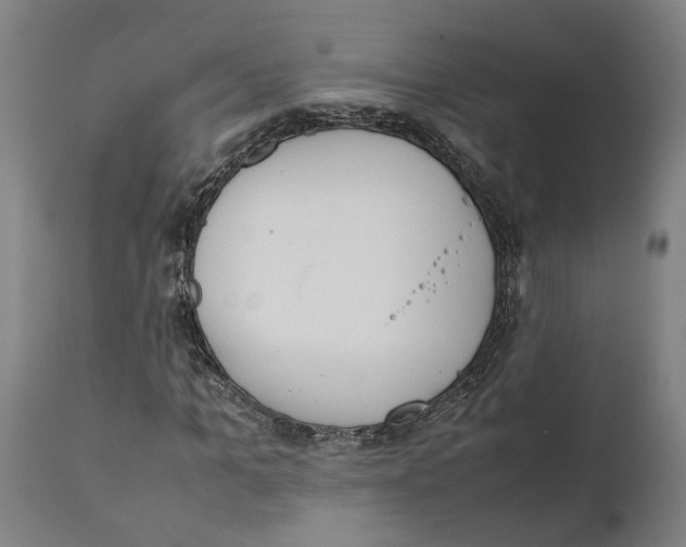 X0000111140965200907211135