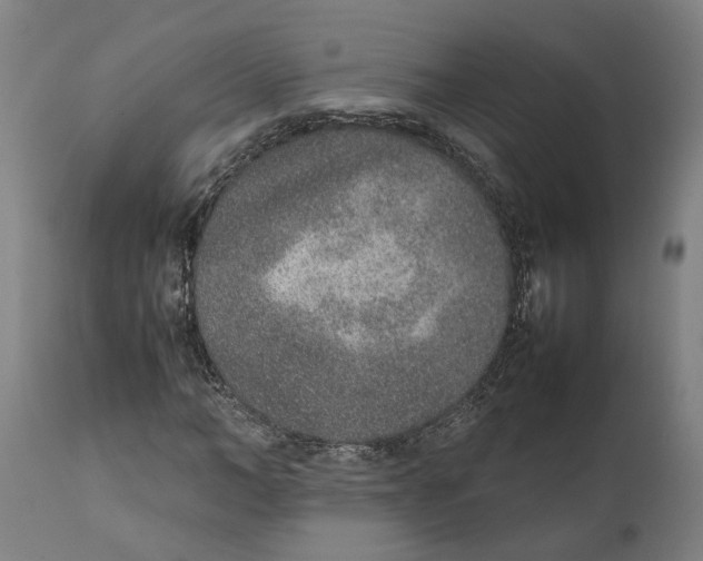 X0000111140966200907211135