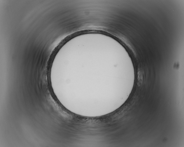 X0000111140972200907211135