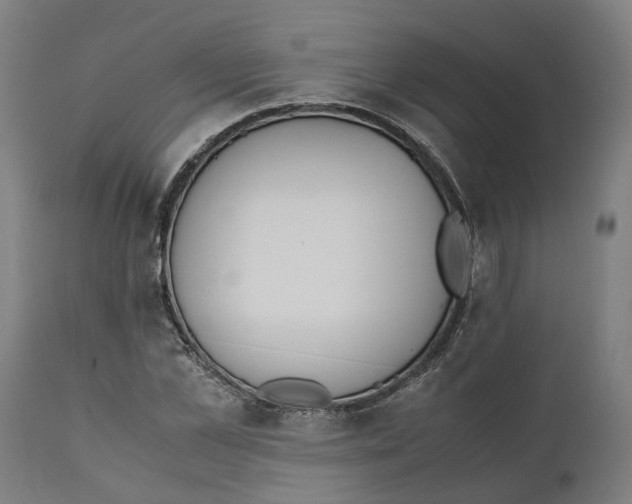 X0000111140973200907211135