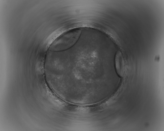 X0000111140977200907211134