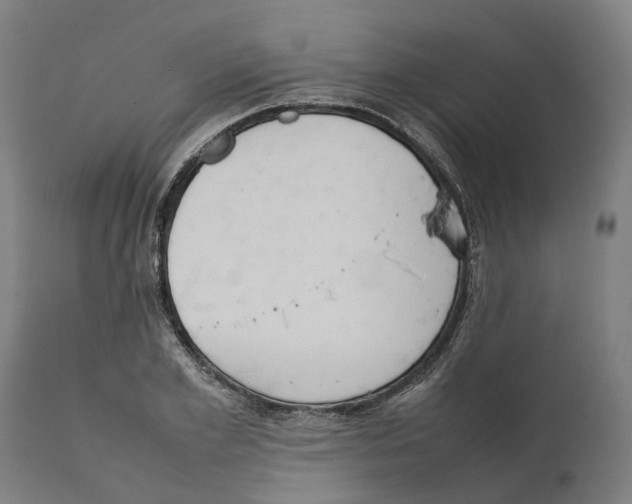 X0000111140981200907211134