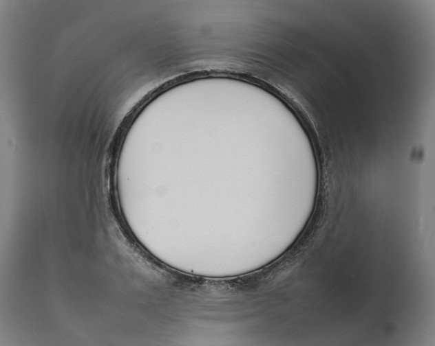 X0000111140983200907211134