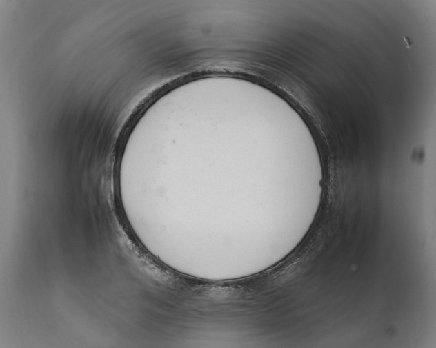 X0000111140984200907211134