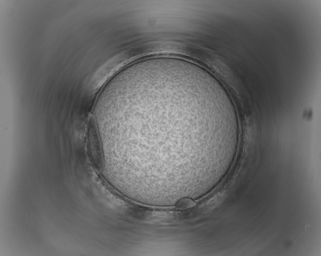 X0000111140985200907211134