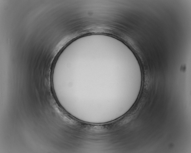 X0000111140986200907211134