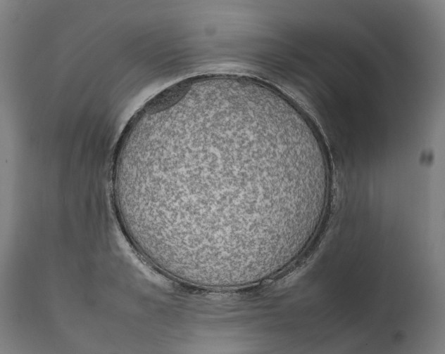 X0000111140989200907211134