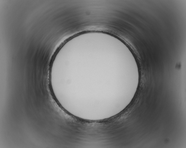 X0000111140992200907211134