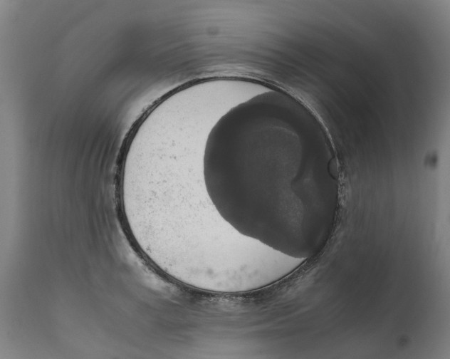 X0000111140995200907211134