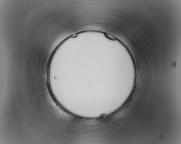 X0000111140999200907211134