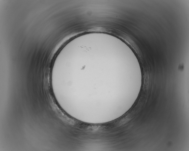 X0000111141000200907211134