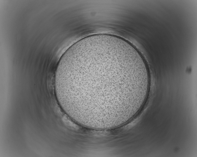 X0000111141001200907211134