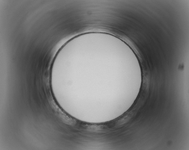 X0000111141004200907211134