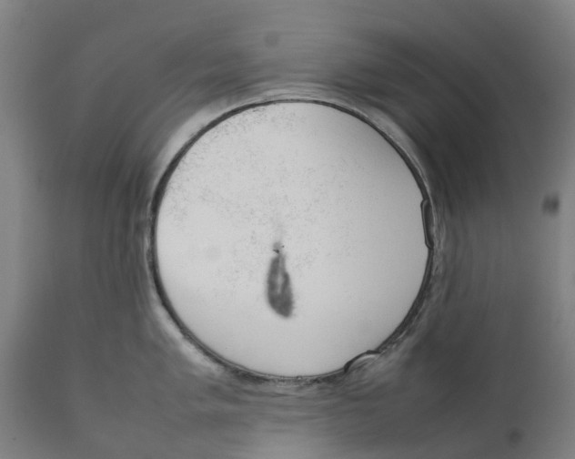 X0000111141005200907211134