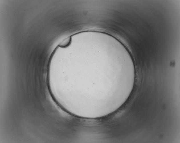 X0000111141007200907211134