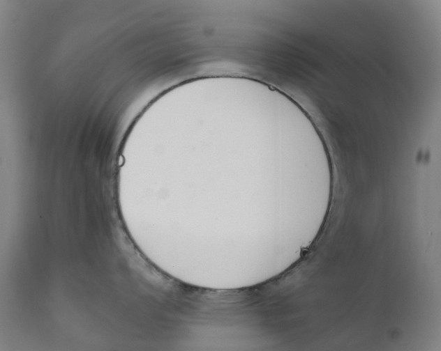 X0000111141008200907211134