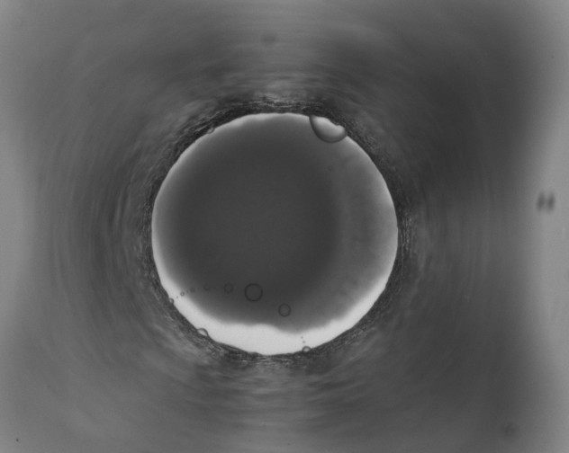 X0000111141009200907211133