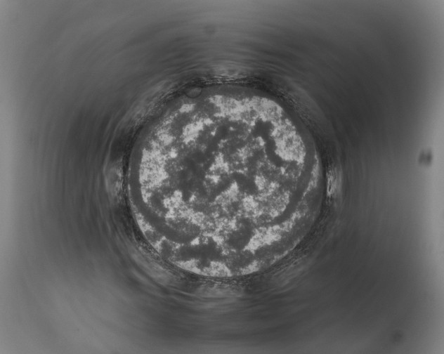 X0000111141011200907211133