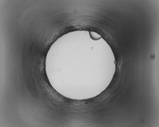 X0000111141012200907211133