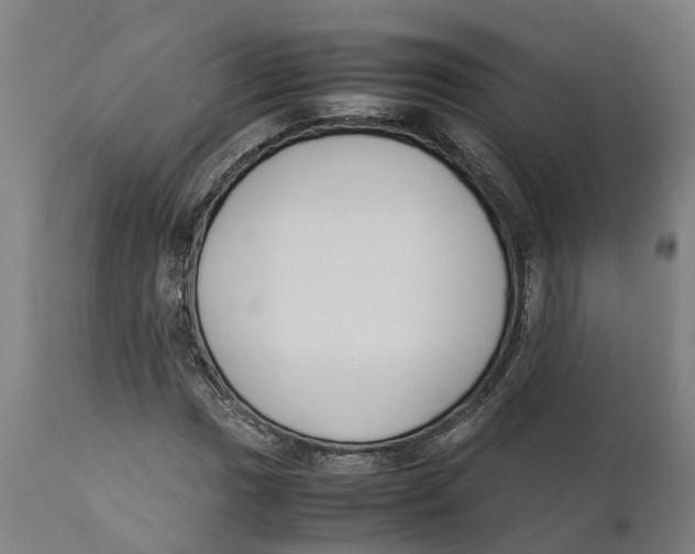 X0000111141017200907211133