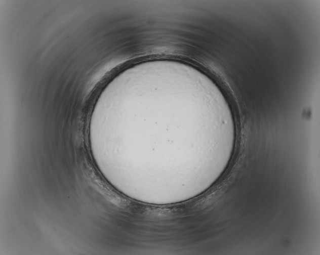 X0000111141019200907211133