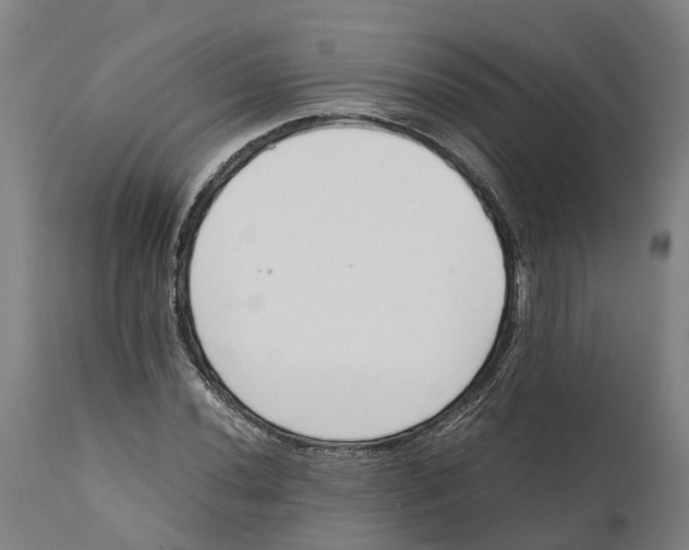 X0000111141020200907211133