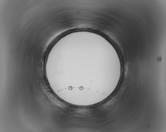 X0000111141021200907211133