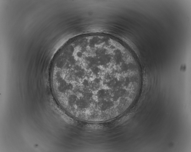 X0000111141023200907211133