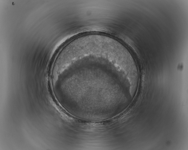 X0000111141024200907211133