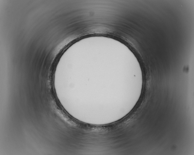 X0000111141026200907211133