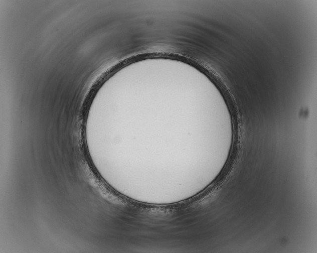 X0000111141029200907211133