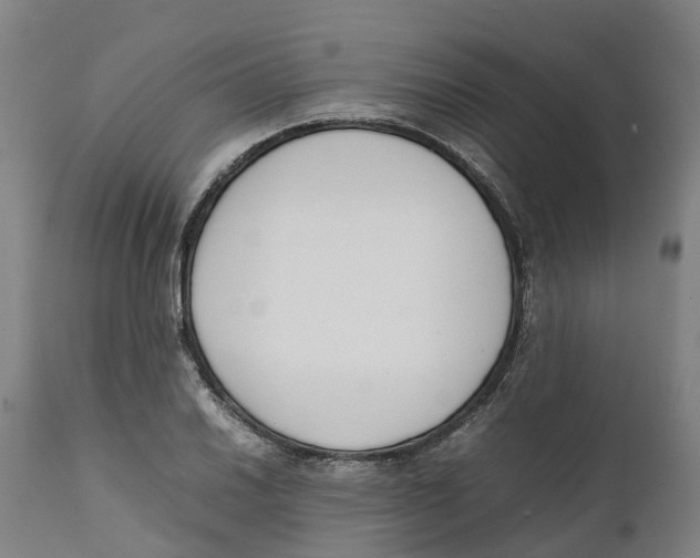 X0000111141030200907211133